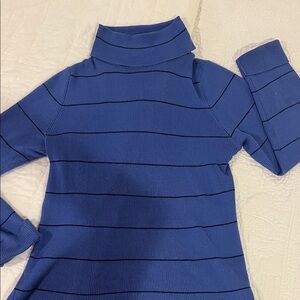 Talbots Blue Turtleneck with Dark Accents